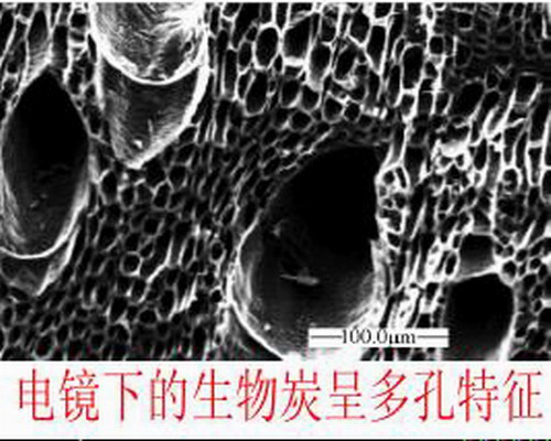 活性炭.jpg